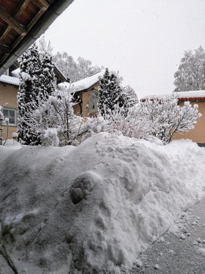 Ferienwohnung Pietzavka Wiesenfelden 外观 照片