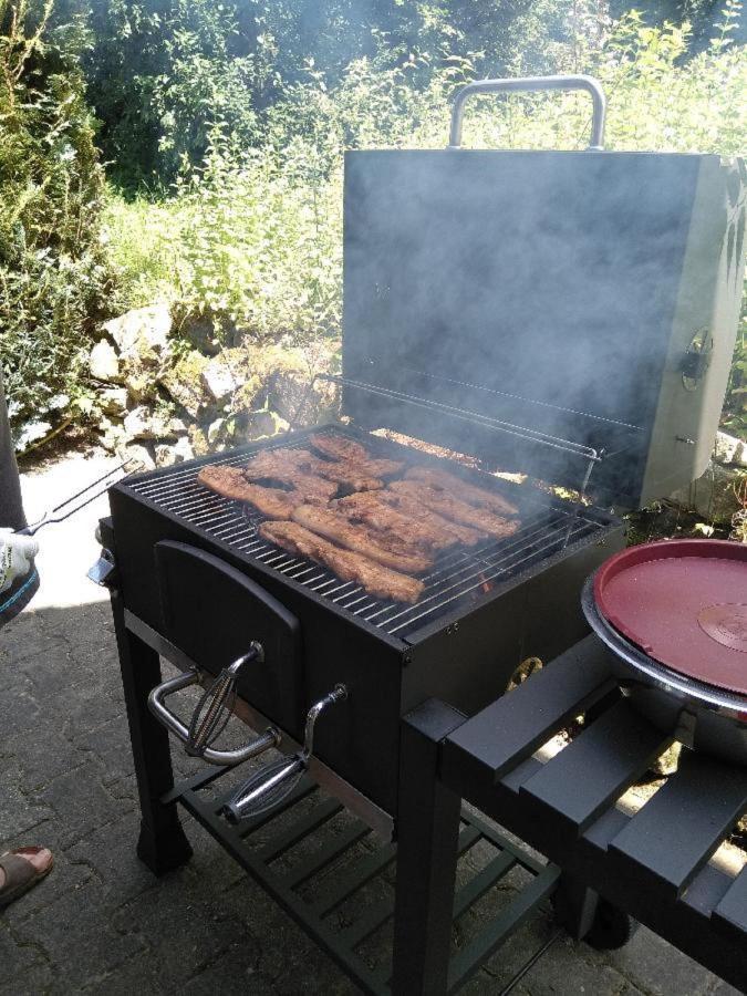 Ferienwohnung Pietzavka Wiesenfelden 外观 照片