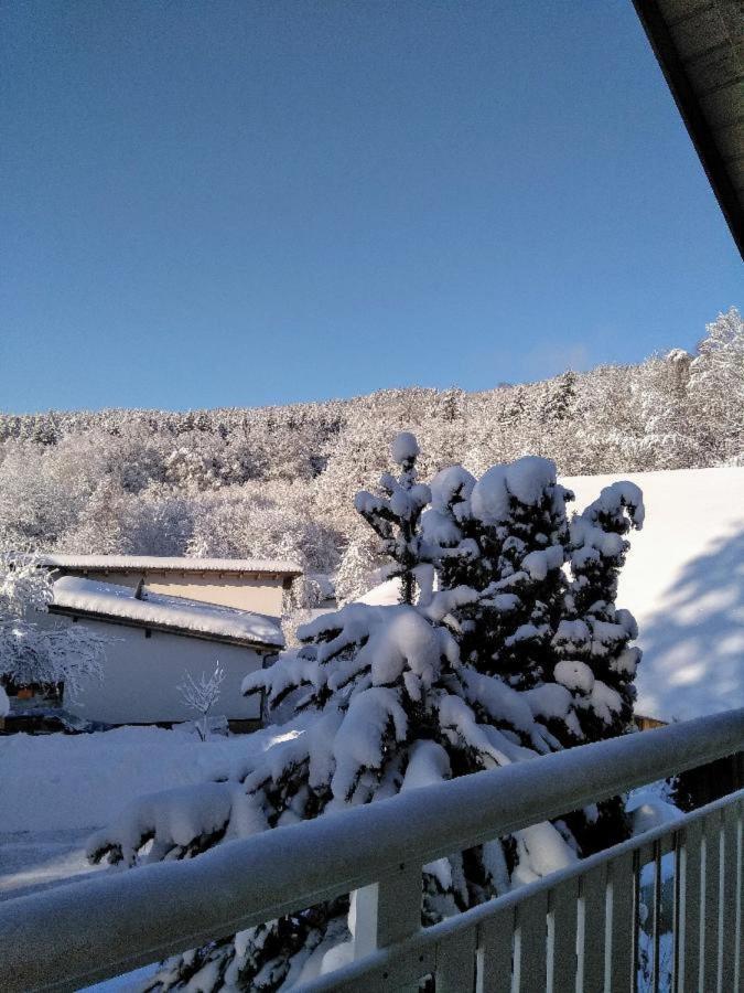Ferienwohnung Pietzavka Wiesenfelden 外观 照片