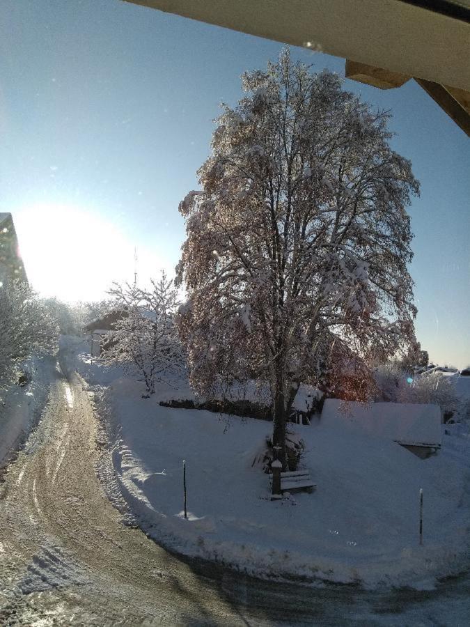 Ferienwohnung Pietzavka Wiesenfelden 外观 照片