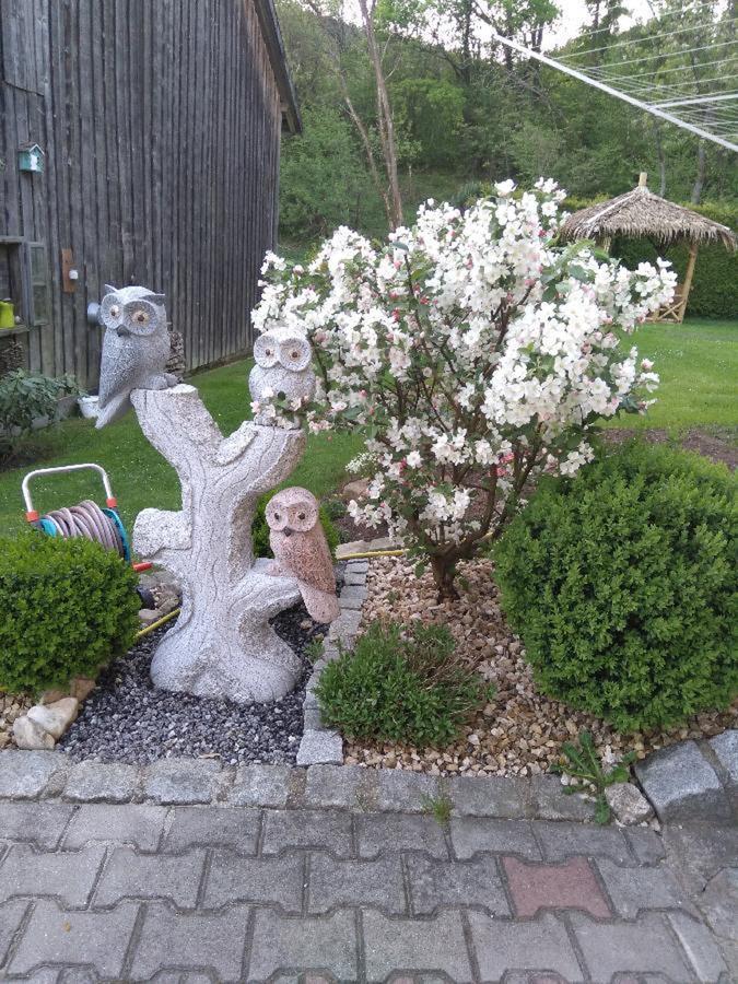 Ferienwohnung Pietzavka Wiesenfelden 外观 照片